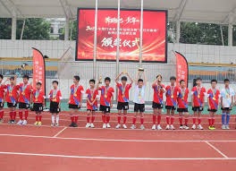 美加墨世界杯票价飙升引发中国球迷热潮